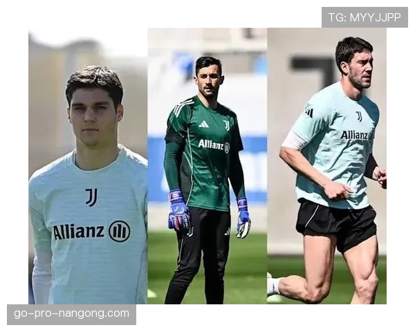 尤文进攻体系对弗拉霍维奇依赖是否过度，战术僵化问题已对赛季走势形成制约